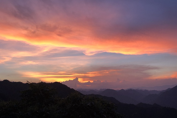 2025年深圳特殊监管区域外贸进出口货值破万亿