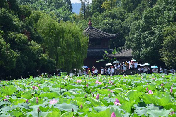 《“人工智能+制造”专项行动实施意见》印发