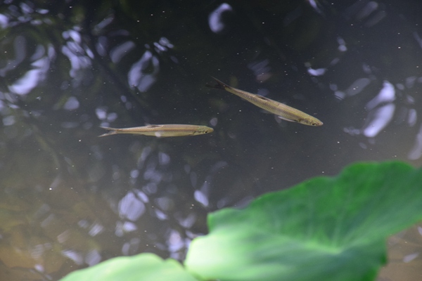 《再生材料应用推广行动方案》印发