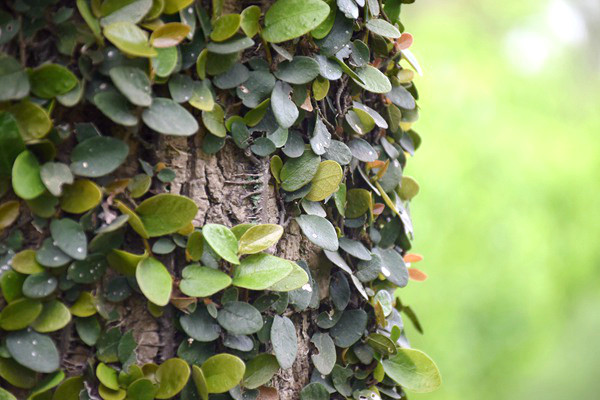 实力出圈！森马三款创新面料斩获ISPO国际大奖