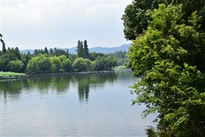 2025年1-11月产业用纺织品行业运行简况