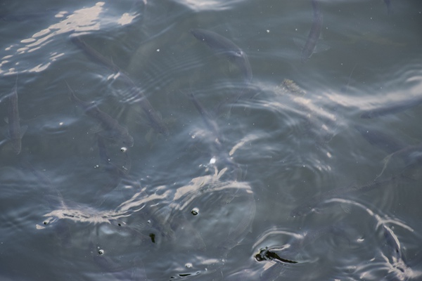 纺织防水研究革新：固体微纳颗粒的应用