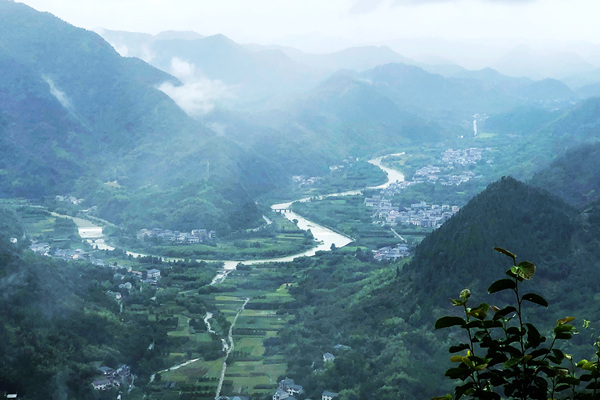 含氟易去污助剂：分类和机理剖析