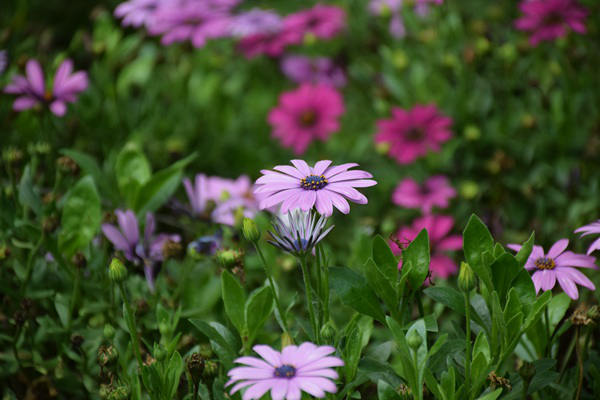 从荧屏传奇到实业先锋：红豆以远见定义中国服装品牌时代