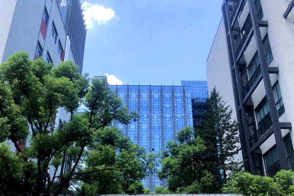 百隆东方2025年报揭晓：越南基地贡献98%利润，扣非净利激增180%